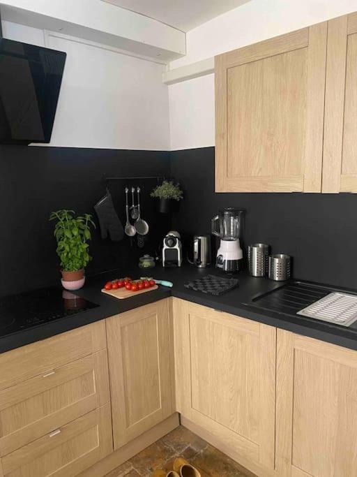 Appartement Grand Duplex Lumineux-hyper Centre *